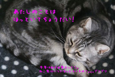 DSC04632.jpg