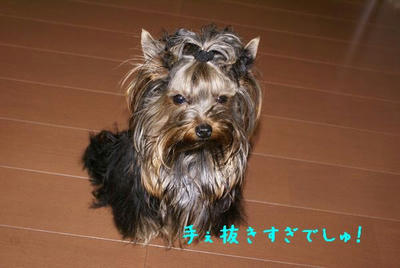 DSC04641.jpg