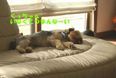DSC04837.jpg