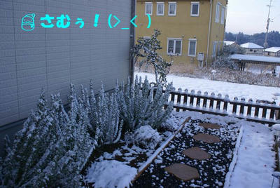 DSC04927.jpg