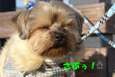 DSC04876.jpg