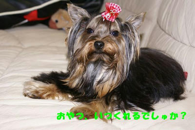 DSC03982.jpg