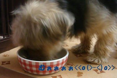 DSC04370.jpg