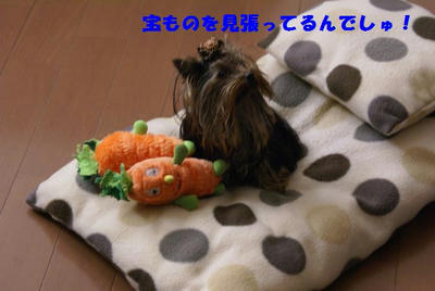 DSC04968.jpg
