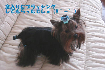 DSC04406.jpg
