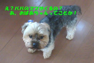 DSC04409.jpg