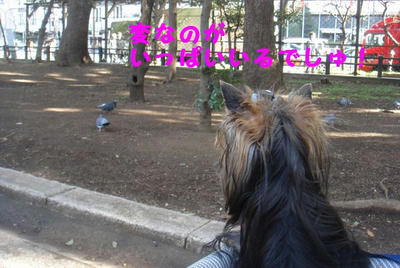 DSC04439.jpg