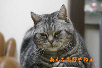 DSC04903.jpg