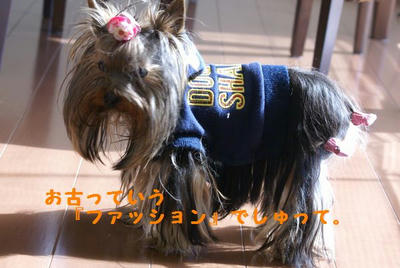 DSC05122.jpg