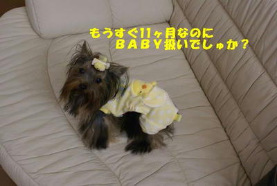 DSC05194.jpg