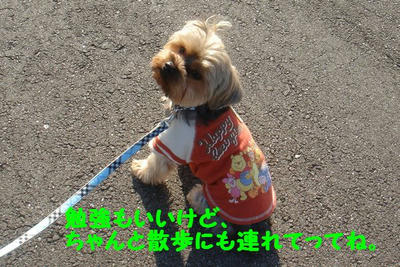 DSC04531.jpg