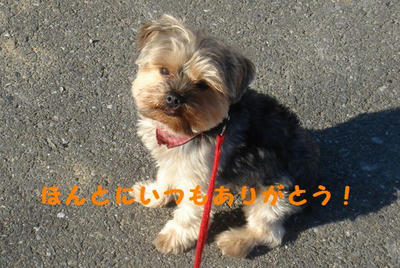 DSC04294.jpg
