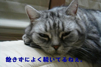 DSC04314.jpg