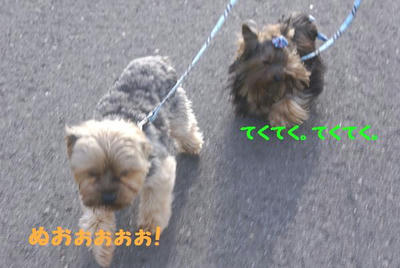 DSC05336.jpg