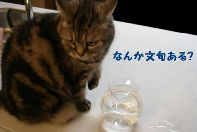 DSC04580.jpg
