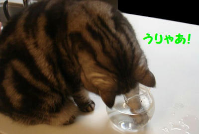 DSC04582.jpg
