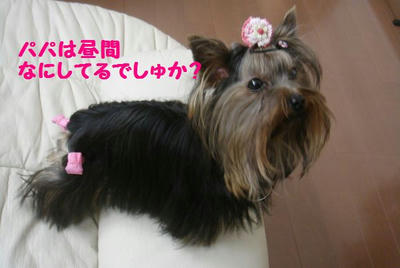 DSC04487.jpg