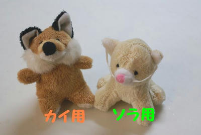 DSC05398.jpg