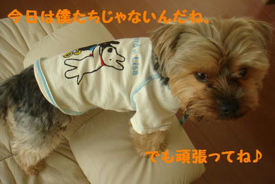 DSC04625.jpg