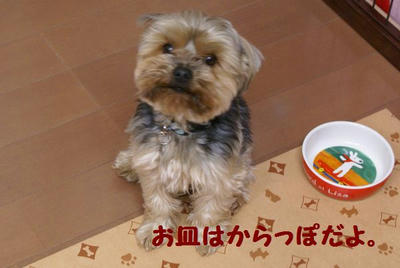 DSC05457.jpg
