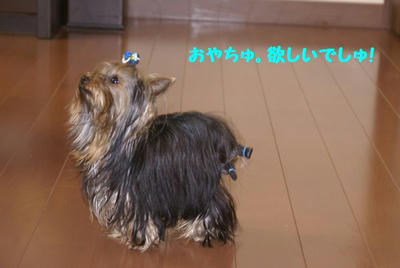 DSC04708.jpg