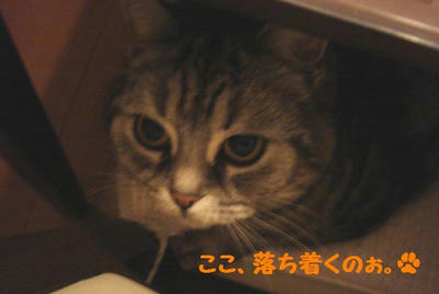 DSC04639.jpg