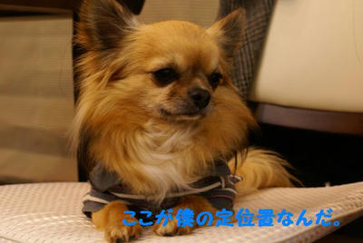 DSC05551.jpg
