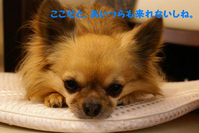 DSC05564.jpg