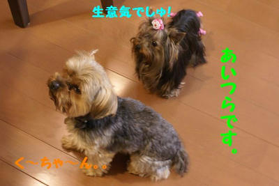 DSC05140.jpg