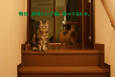 DSC05586.jpg