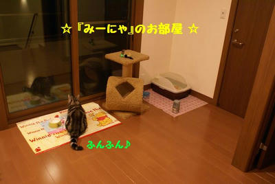 DSC05590.jpg