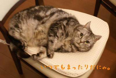 DSC05470.jpg