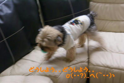 DSC05688.jpg
