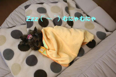 DSC051632.jpg