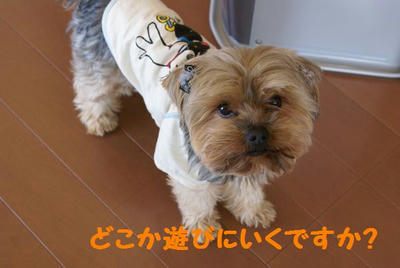 DSC05744.jpg