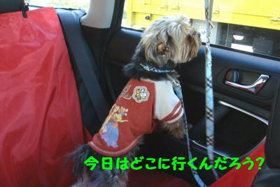 DSC05698.jpg