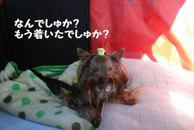 DSC05696.jpg