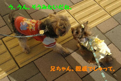DSC05732.jpg
