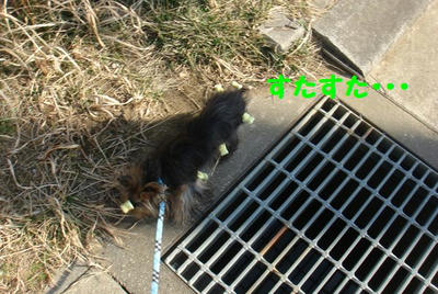 DSC05746.jpg