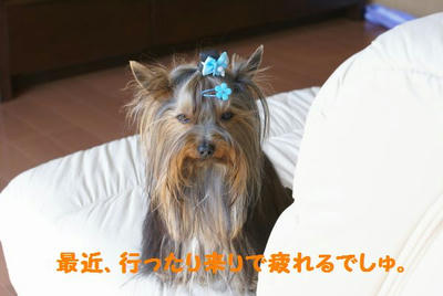 DSC06249.jpg