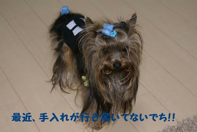 DSC06270.jpg