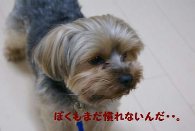 DSC06281.jpg