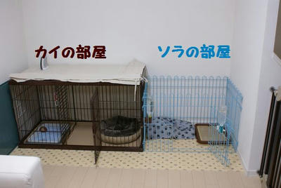 DSC06269.jpg
