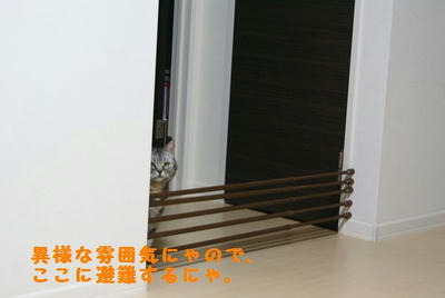 DSC06395.jpg