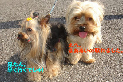 DSC05818.jpg