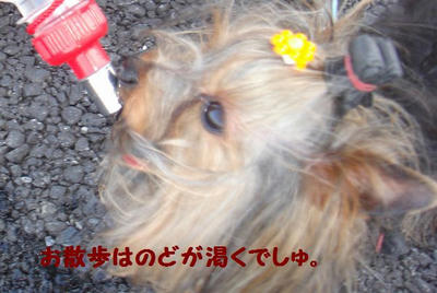 DSC05837.jpg