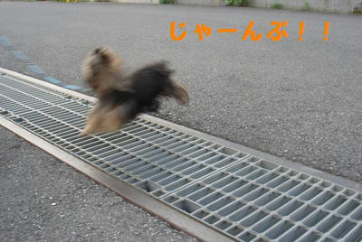 e2fe397fjpeg