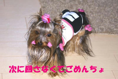 a4625420jpeg