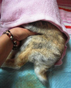 4f77d2d9.jpg
