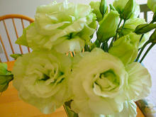 070912_01.jpg